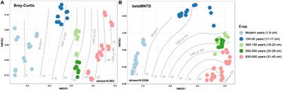 Long-Term Stochasticity Combines With Short-Term Variability in Assembly Processes to Underlie Rice Paddy Sustainability